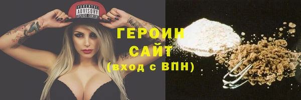 гашик Алексин
