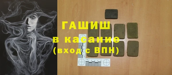 гашик Алексин
