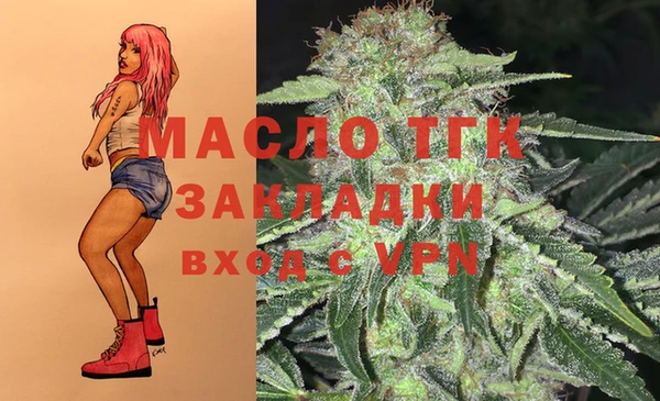 молекула духа Алексеевка