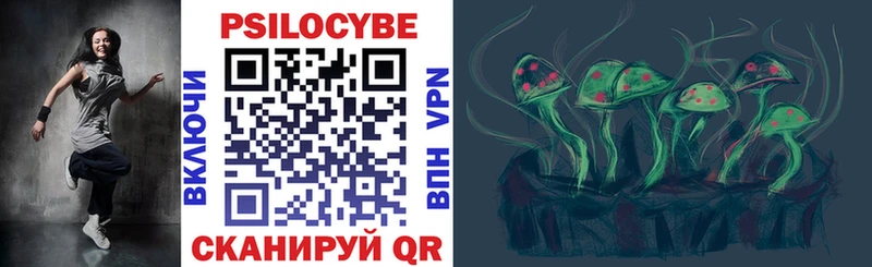 Псилоцибиновые грибы прущие грибы МЕГА как войти Шилка